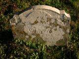 image of grave number 19546